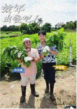 下饭综艺与国漫精选推荐图